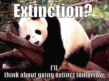 Panda Extinction