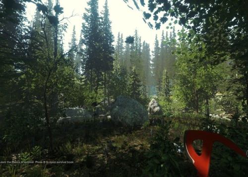 The Forest Screenshot